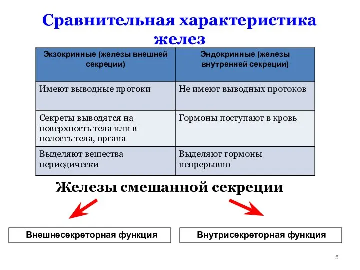 Сравнительная характеристика желез Внешнесекреторная функция Внутрисекреторная функция Железы смешанной секреции