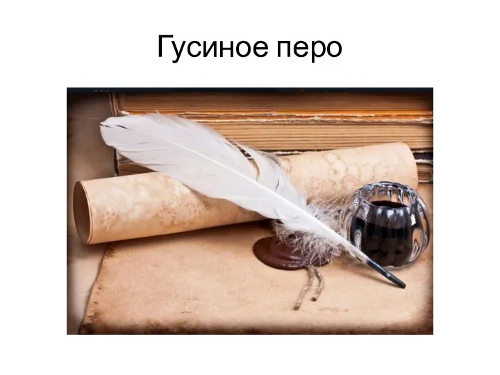 Гусиное перо