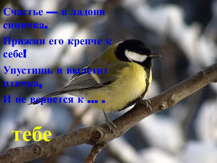 Счастье — в ладони синичка. Прижми его крепче к себе! Упустишь