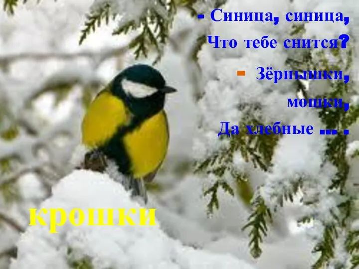 - Синица, синица, Что тебе снится? Зёрнышки, мошки, Да хлебные … . крошки