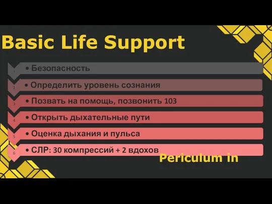 Basic Life Support Periculum in mora.