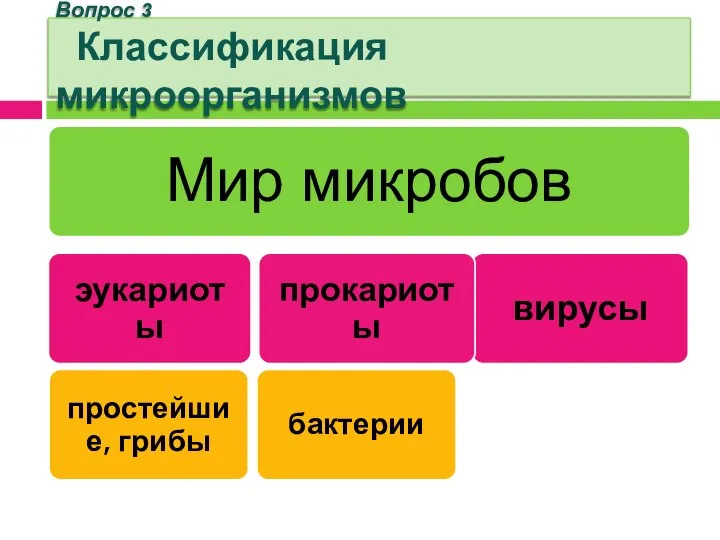 Вопрос 3 Классификация микроорганизмов