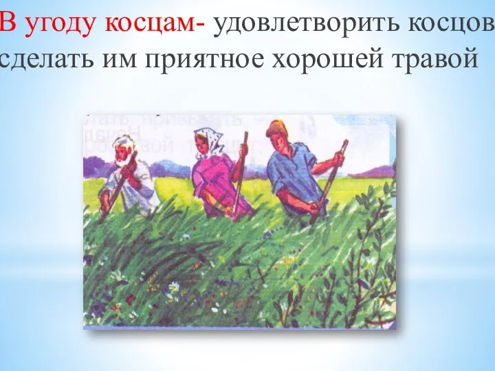 В угоду косцам- удовлетворить косцов, сделать им приятное хорошей травой