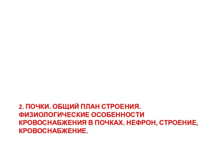 2. ПОЧКИ. ОБЩИЙ ПЛАН СТРОЕНИЯ. ФИЗИОЛОГИЧЕСКИЕ ОСОБЕННОСТИ КРОВОСНАБЖЕНИЯ В ПОЧКАХ. НЕФРОН, СТРОЕНИЕ, КРОВОСНАБЖЕНИЕ.