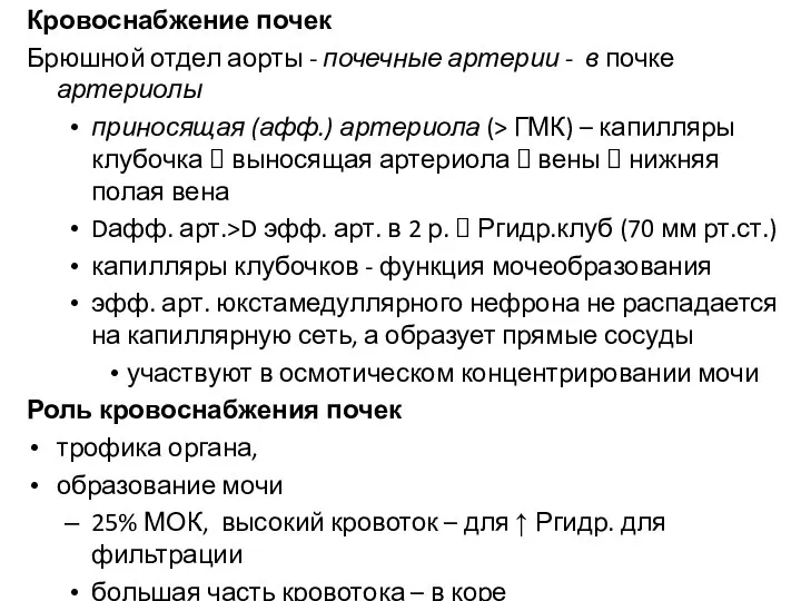 Кровоснабжение почек Брюшной отдел аорты - почечные артерии - в почке