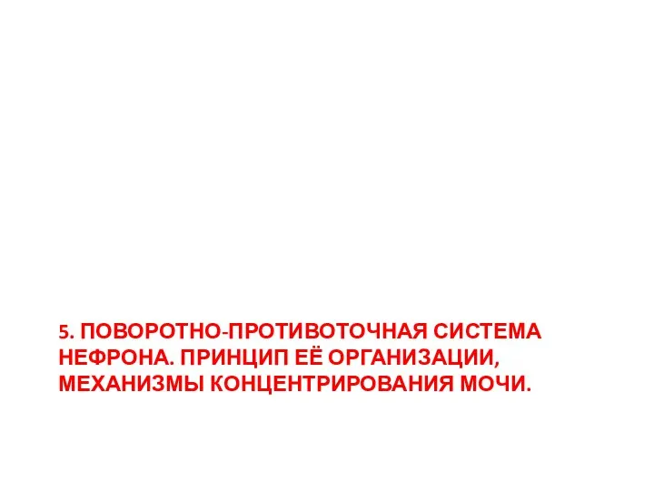 5. ПОВОРОТНО-ПРОТИВОТОЧНАЯ СИСТЕМА НЕФРОНА. ПРИНЦИП ЕЁ ОРГАНИЗАЦИИ, МЕХАНИЗМЫ КОНЦЕНТРИРОВАНИЯ МОЧИ.