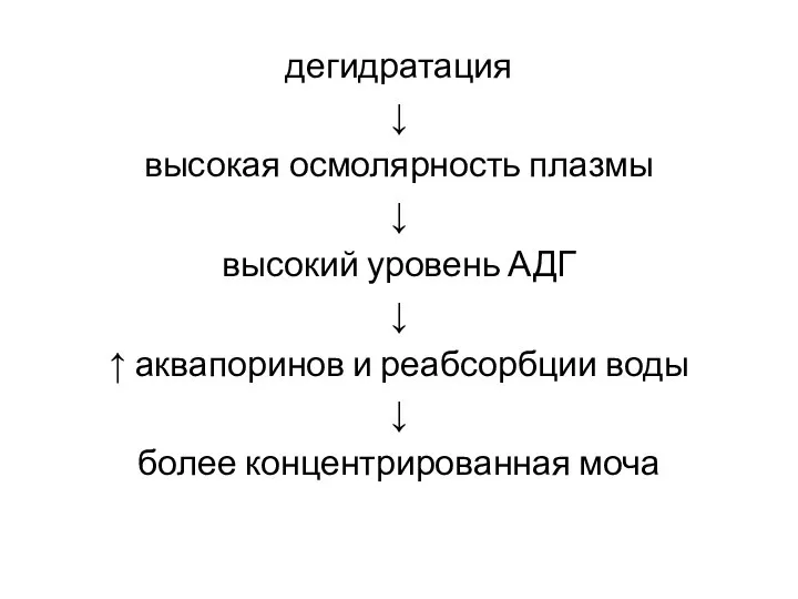 дегидратация ↓ высокая осмолярность плазмы ↓ высокий уровень АДГ ↓ ↑