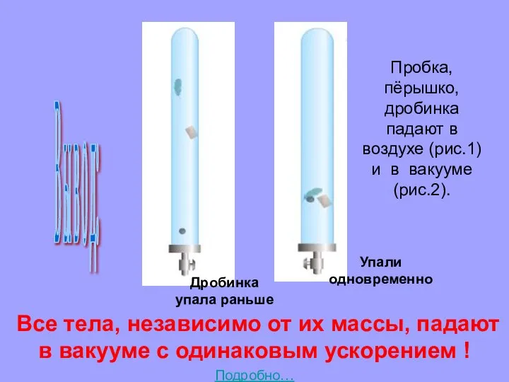 Все тела, независимо от их массы, падают в вакууме с одинаковым