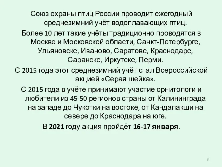 Союз охраны птиц России проводит ежегодный среднезимний учёт водоплавающих птиц. Более