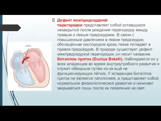 Дефект межпредсердной перегородки представляет собой оставшуюся незакрытой после рождения перегородку между