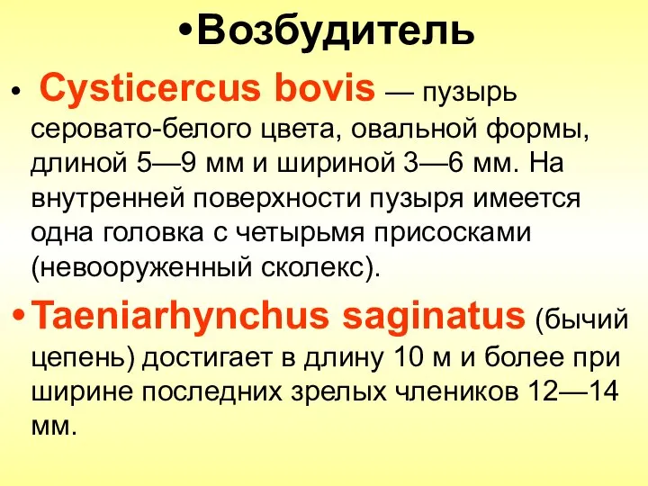 Возбудитель Cysticercus bovis — пузырь серовато-белого цвета, овальной формы, длиной 5—9