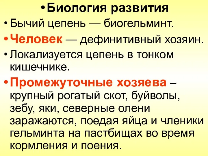 Биология развития Бычий цепень — биогельминт. Человек — дефинитивный хозяин. Локализуется