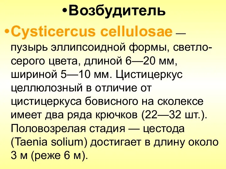 Возбудитель Cysticercus cellulosae — пузырь эллипсоидной формы, светло-серого цвета, длиной 6—20