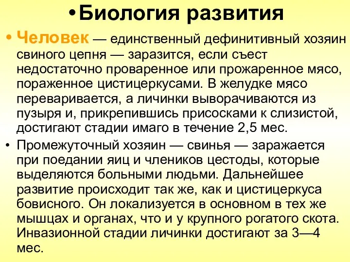 Биология развития Человек — единственный дефинитивный хозяин свиного цепня — заразится,