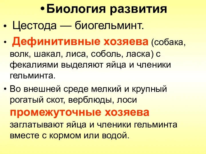 Биология развития Цестода — биогельминт. Дефинитивные хозяева (собака, волк, шакал, лиса,