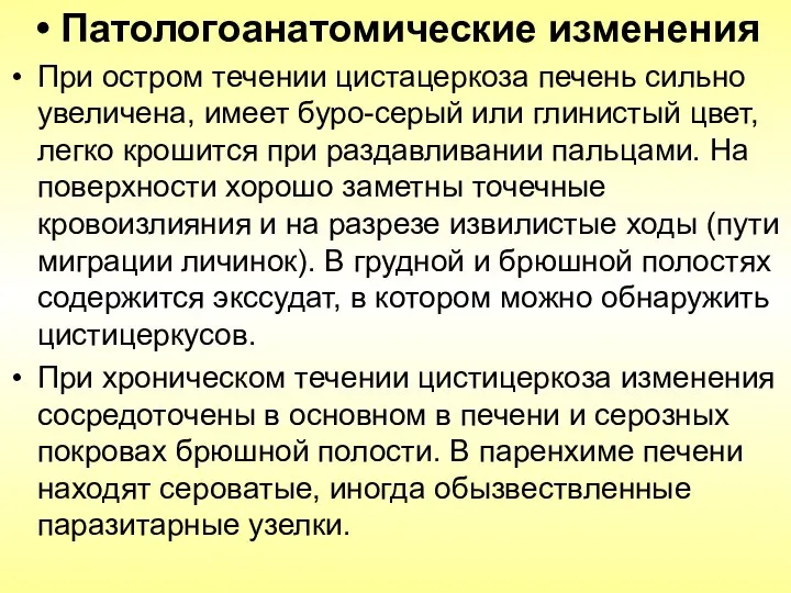 Патологоанатомические изменения При остром течении цистацеркоза печень сильно увеличена, имеет буро-серый