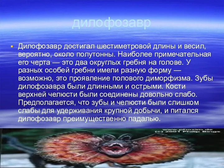 дилофозавр Дилофозавр достигал шестиметровой длины и весил, вероятно, около полутонны. Наиболее