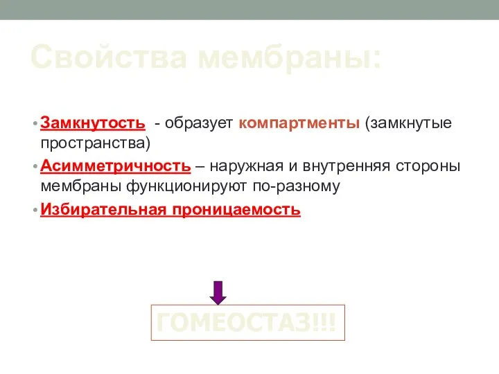 Свойства мембраны: Замкнутость - образует компартменты (замкнутые пространства) Асимметричность – наружная