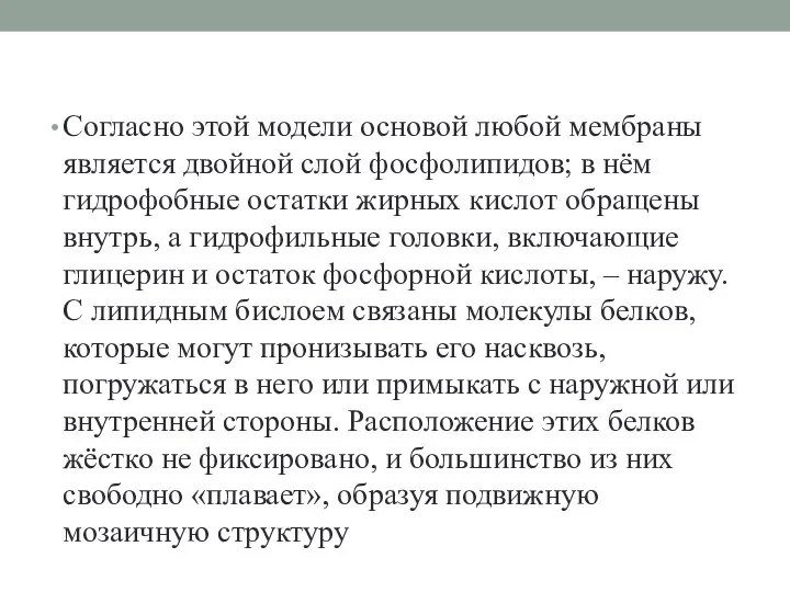 Согласно этой модели основой любой мембраны является двойной слой фосфолипидов; в