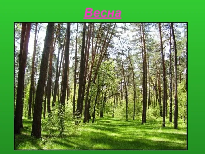 Весна