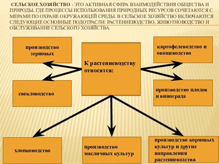 СЕЛЬСКОЕ ХОЗЯЙСТВО - ЭТО АКТИВНАЯ СФЕРА ВЗАИМОДЕЙСТВИЯ ОБЩЕСТВА И ПРИРОДЫ, ГДЕ