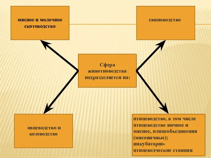 Сфера животноводства подразделяется на: мясное и молочное скотоводство свиноводство овцеводство и