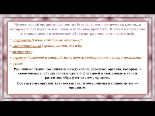 Человеческий организм состоит из бесчисленного количества клеток, в которых происходят те