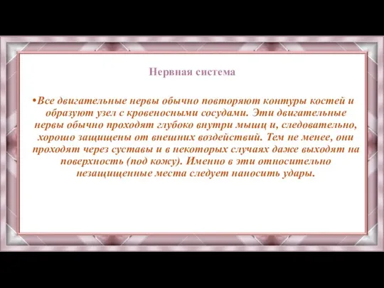 Нервная система Все двигательные нервы обычно повторяют контуры костей и образуют