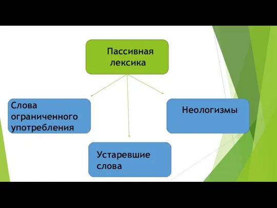 Пассивная лексика Слова ограниченного употребления Устаревшие слова Неологизмы