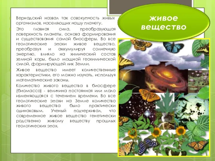 Вернадский назвал так совокупность живых организмов, населяющих нашу планету. Это главная