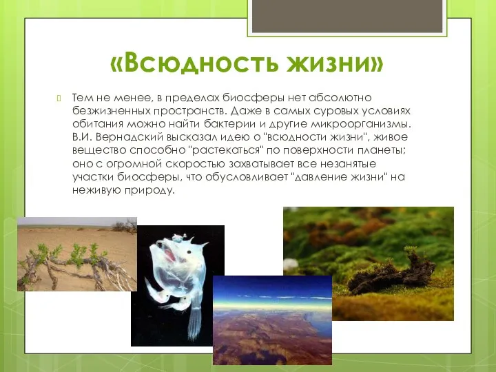 «Всюдность жизни» Тем не менее, в пределах биосферы нет абсолютно безжизненных