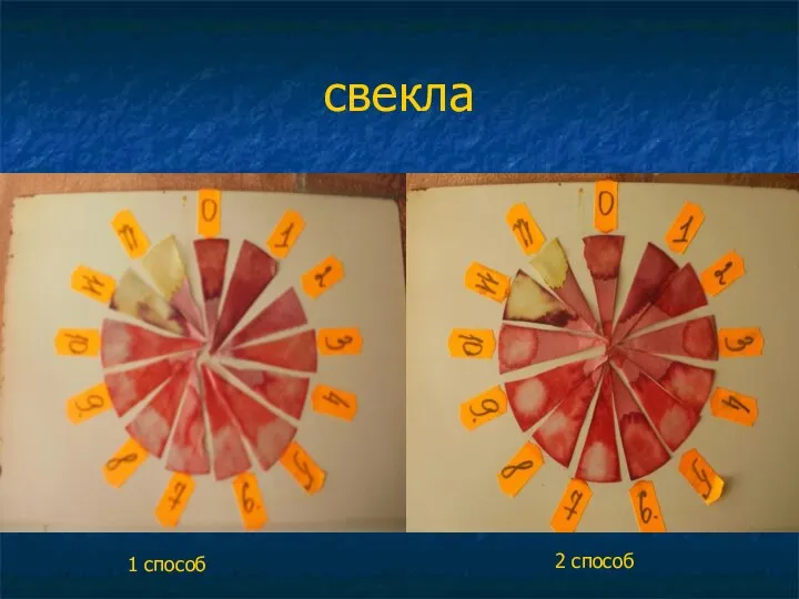 свекла 1 способ 2 способ