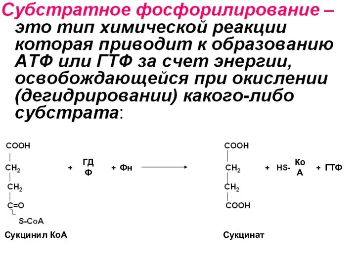 Сукцинил КоА Сукцинат ГДФ Фн КоА ГТФ