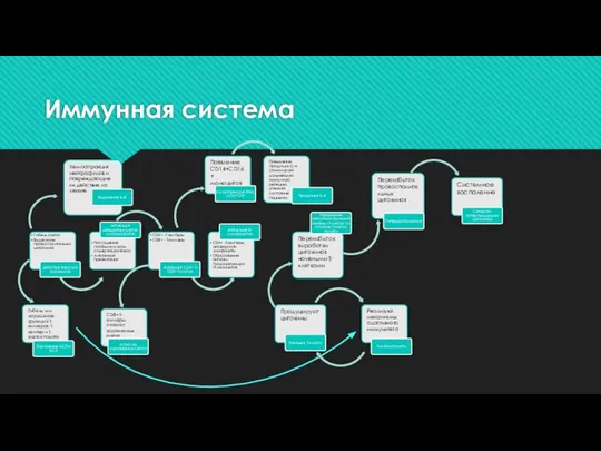 Иммунная система