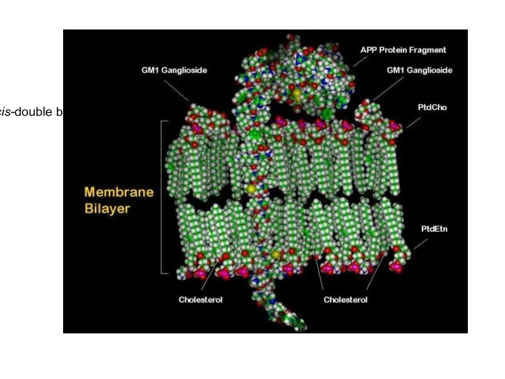 Figure 10-2The parts of a phospholipid molecule This example is phosphatidylcholine,