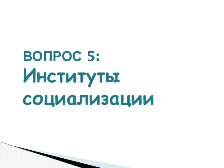 ВОПРОС 5: Институты социализации