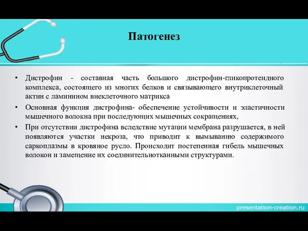 Патогенез Дистрофин - составная часть большого дистрофин-гликопротеидного комплекса, состоящего из многих