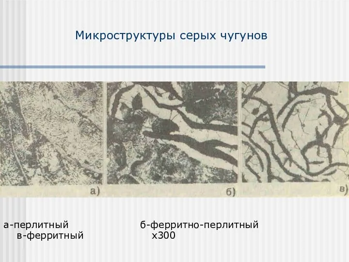 Микроструктуры серых чугунов а-перлитный б-ферритно-перлитный в-ферритный х300