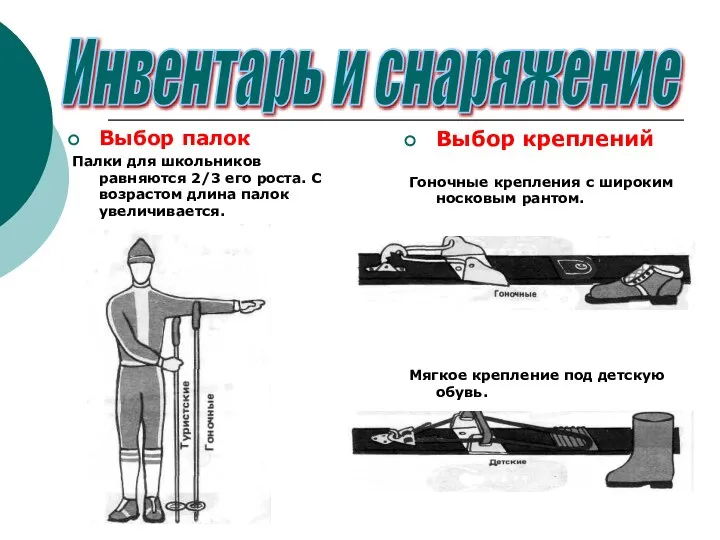 Выбор палок Палки для школьников равняются 2/3 его роста. С возрастом