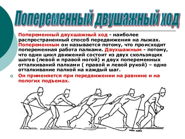 Попеременный двухшажный ход - наиболее распространенный способ передвижения на лыжах. Попеременным