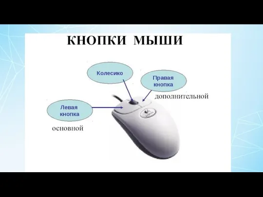 основной дополнительной КНОПКИ МЫШИ