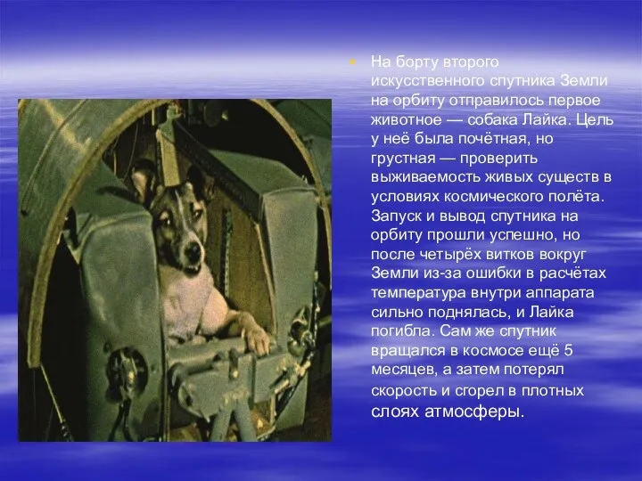На борту второго искусственного спутника Земли на орбиту отправилось первое животное