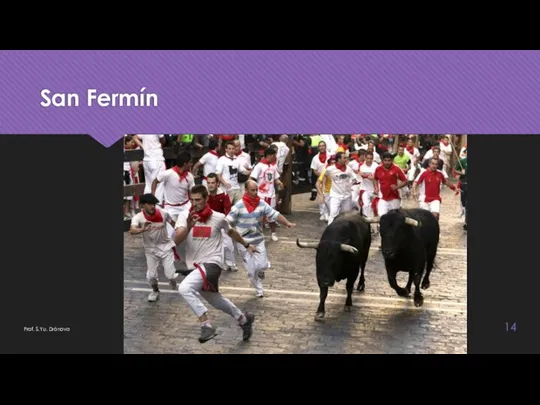 San Fermín Prof. S.Yu. Drónova