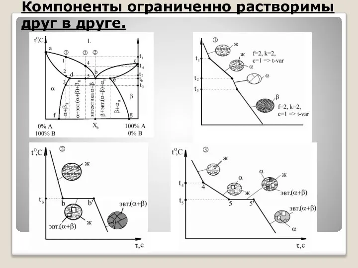 Диаграмма состояния 3 типа Компоненты ограниченно растворимы друг в друге.