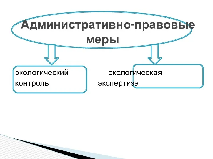 экологический экологическая контроль экспертиза Административно-правовые меры