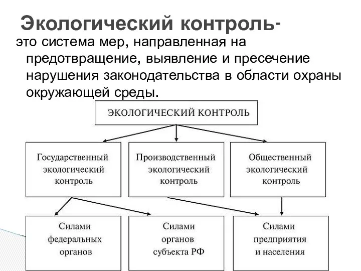 1. система мониторинга окружающей среды 2. государственный контроль. Экологический контроль- это