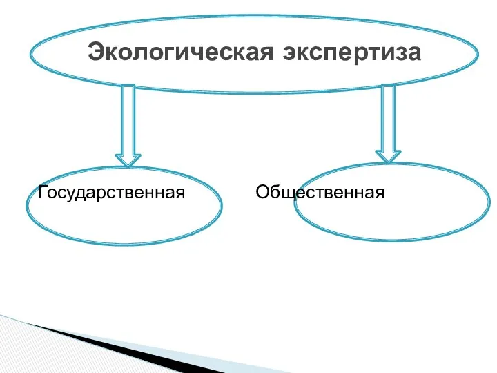 Государственная Общественная Экологическая экспертиза