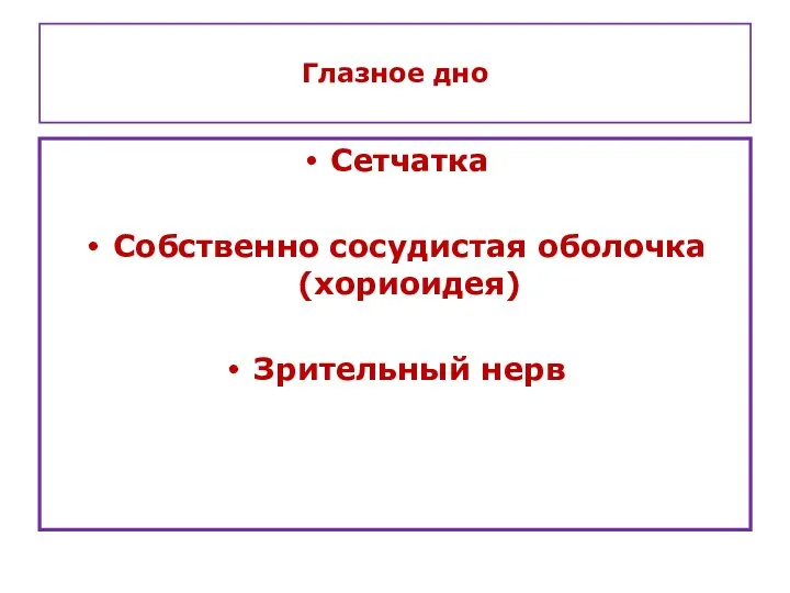 Глазное дно Сетчатка Собственно сосудистая оболочка (хориоидея) Зрительный нерв