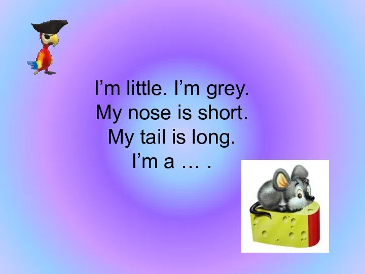 I’m little. I’m grey. My nose is short. My tail is long. I’m a … .