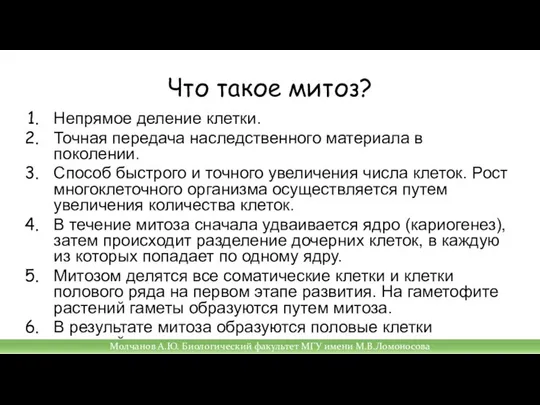 Что такое митоз? Непрямое деление клетки. Точная передача наследственного материала в